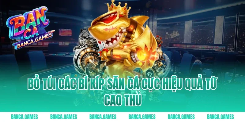 Bỏ túi các bí kíp săn cá cực hiệu quả từ cao thủ