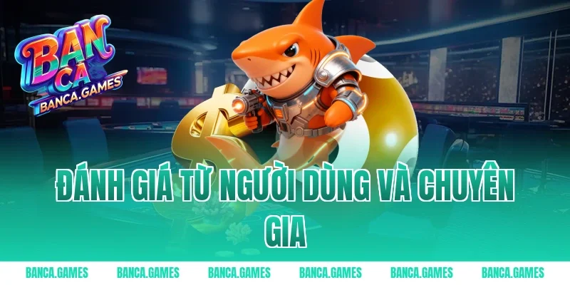 Đánh giá từ người dùng và chuyên gia